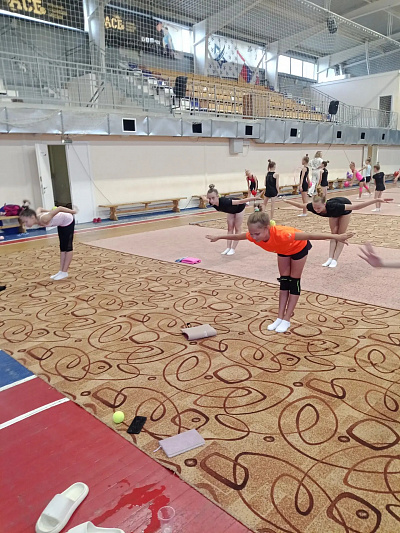 Гимнастки готовятся к новому спортивному сезону, фото №2